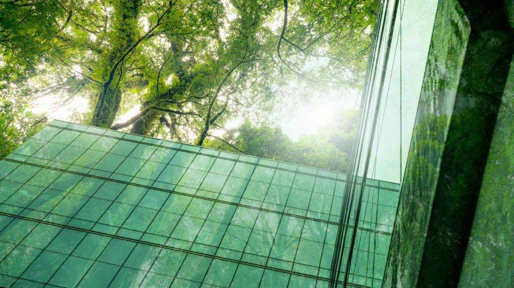 Perfekte Glasreinigung in Hamburg: Große Glasfront mit grüner Baumreflexion – sauber, glänzend & professionell gepflegt.