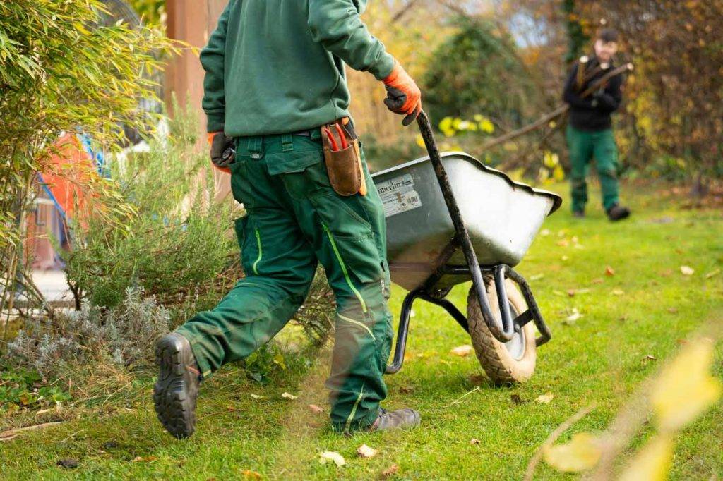 Zwei  Reinigungskonzepte Mitarbeiter Hessen pflegen eine Grünanlage, eine Schubkarre mit Grünschnitt ist im Vordergrund.