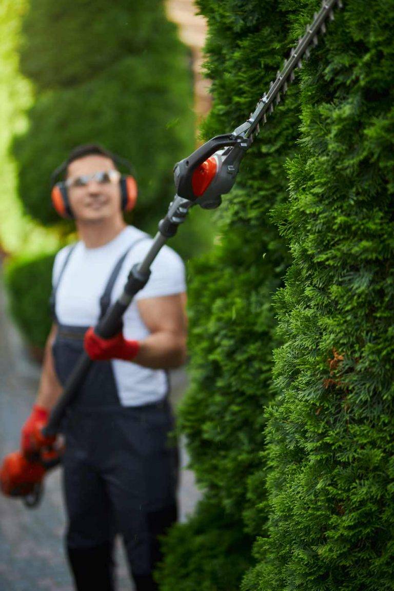 Mitarbeiter von Reinigungskonzepte Hamburg schneidet die Hecke eines Kunden, dabei trägt er moderne Sicherheitskleidung.